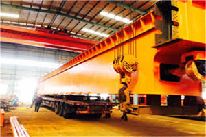 Foundry Overhead Cranes Manufacturer in China